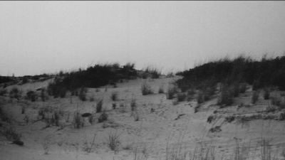 capehenlopen2_bw.jpg (176120 bytes)