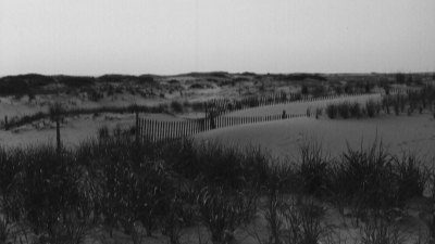 capehenlopen5_bw.jpg (208434 bytes)