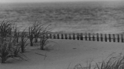 capehenlopen7_bw.jpg (216700 bytes)