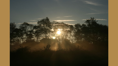 MotherNature_Sunrise1.jpg (114126 bytes)