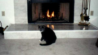 Bootsy by fireplace