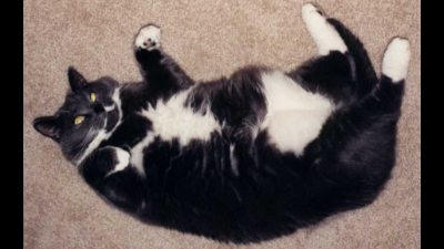 Bootsy