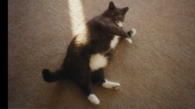 Bootsy in the sun