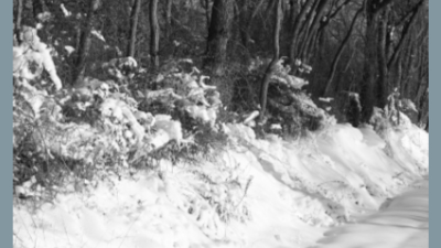 scenery_20091219snow_8.jpg (128246 bytes)