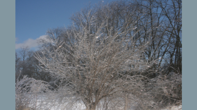 scenery_ice1.jpg (279400 bytes)