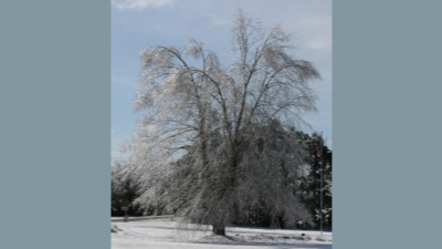 scenery_ice2.jpg (304530 bytes)