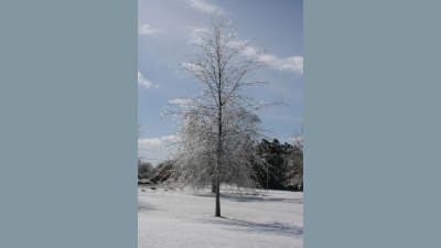 scenery_ice3.jpg (196008 bytes)