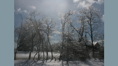 scenery_ice4.jpg (261258 bytes)