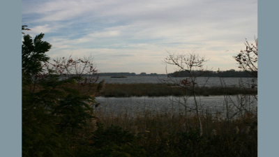 scenery_marsh.jpg (152719 bytes)