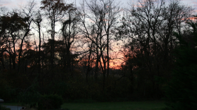 sunset_backyard1.jpg (242724 bytes)
