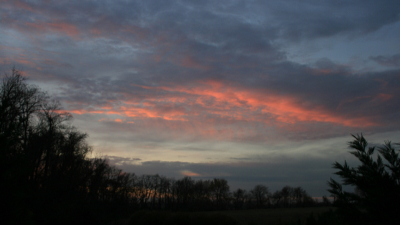 sunset_backyard2.jpg (139239 bytes)