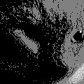 Watch_Cat.JPG (7845 bytes)